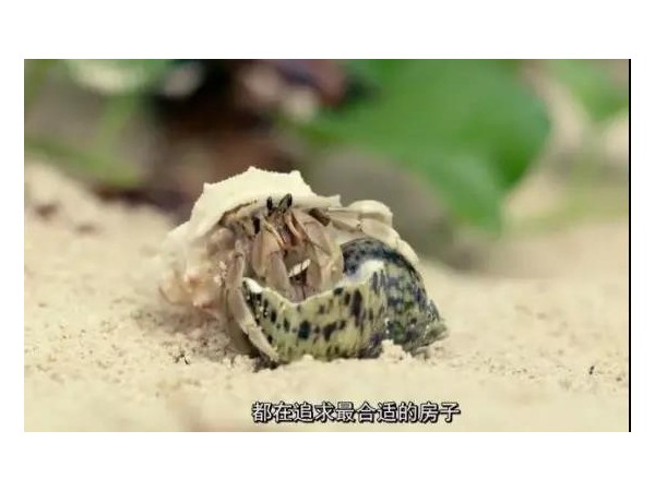 會(huì)移動(dòng)的戶外廣告來(lái)了，根本不夠看！